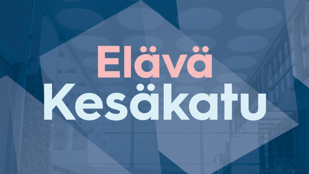 Elävä_kesäkatu_
